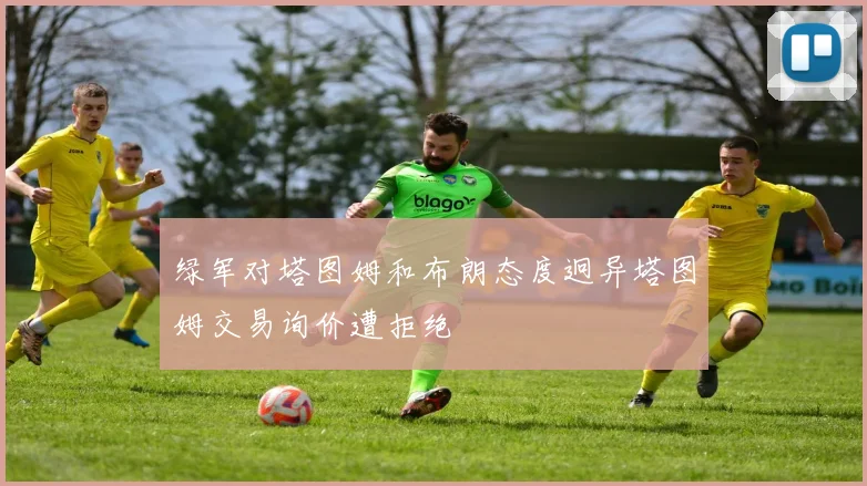 绿军对塔图姆和布朗态度迥异塔图姆交易询价遭拒绝